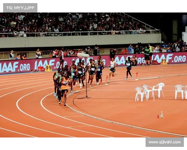 国际田联上海站赛事(国际田联田径赛事)